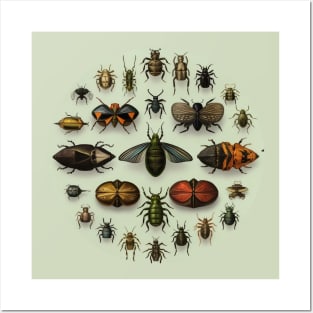 Circular Vintage Insect Entomology #2 Posters and Art